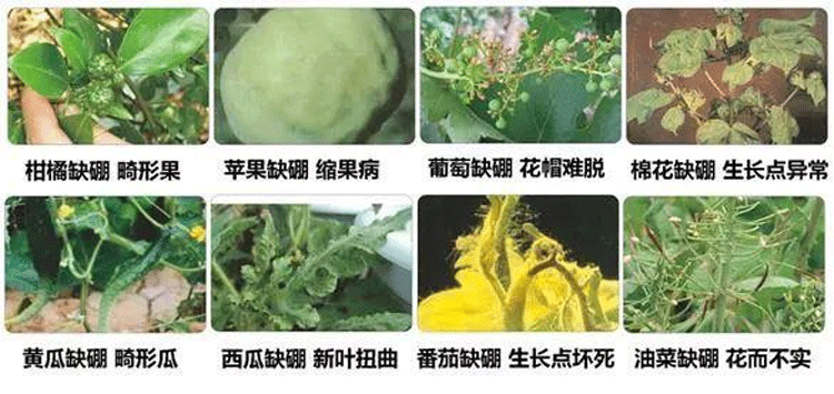 未標題-1.gif